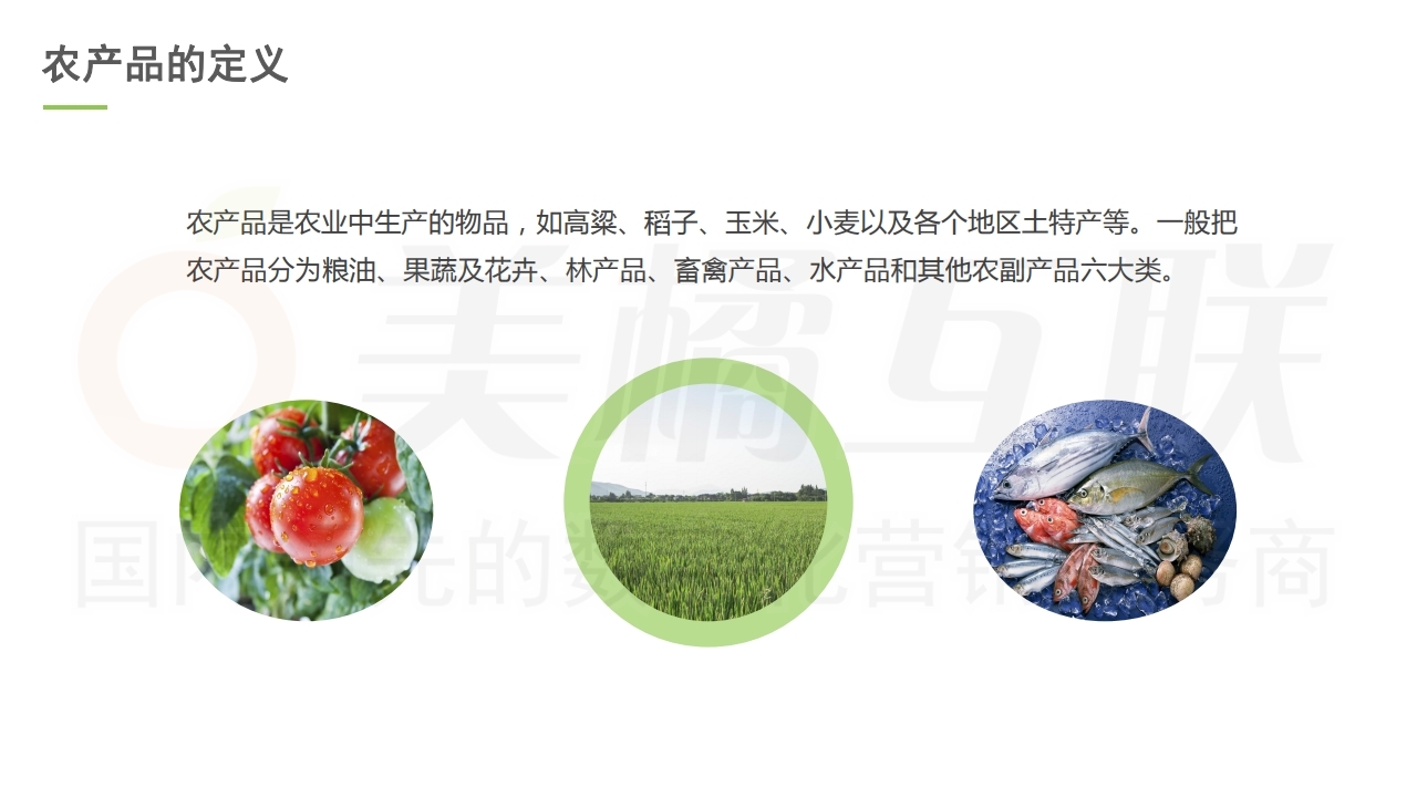 【唯商城】农产品网络电商营销方案.pdf_page_04.jpg