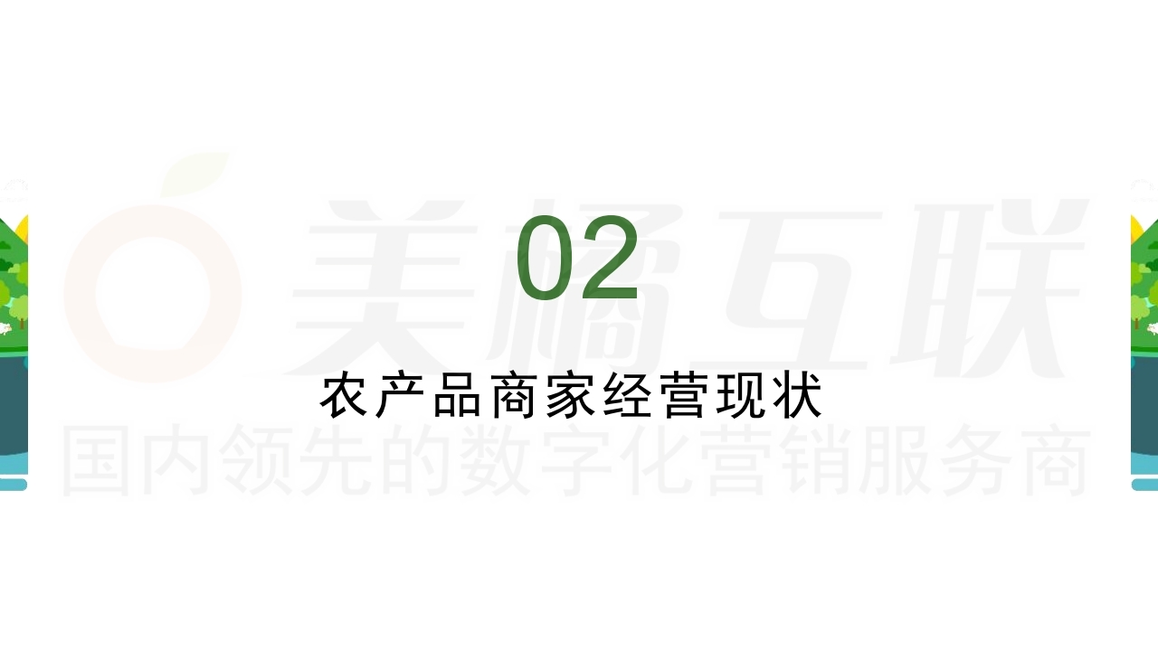 【唯商城】农产品网络电商营销方案.pdf_page_14.jpg