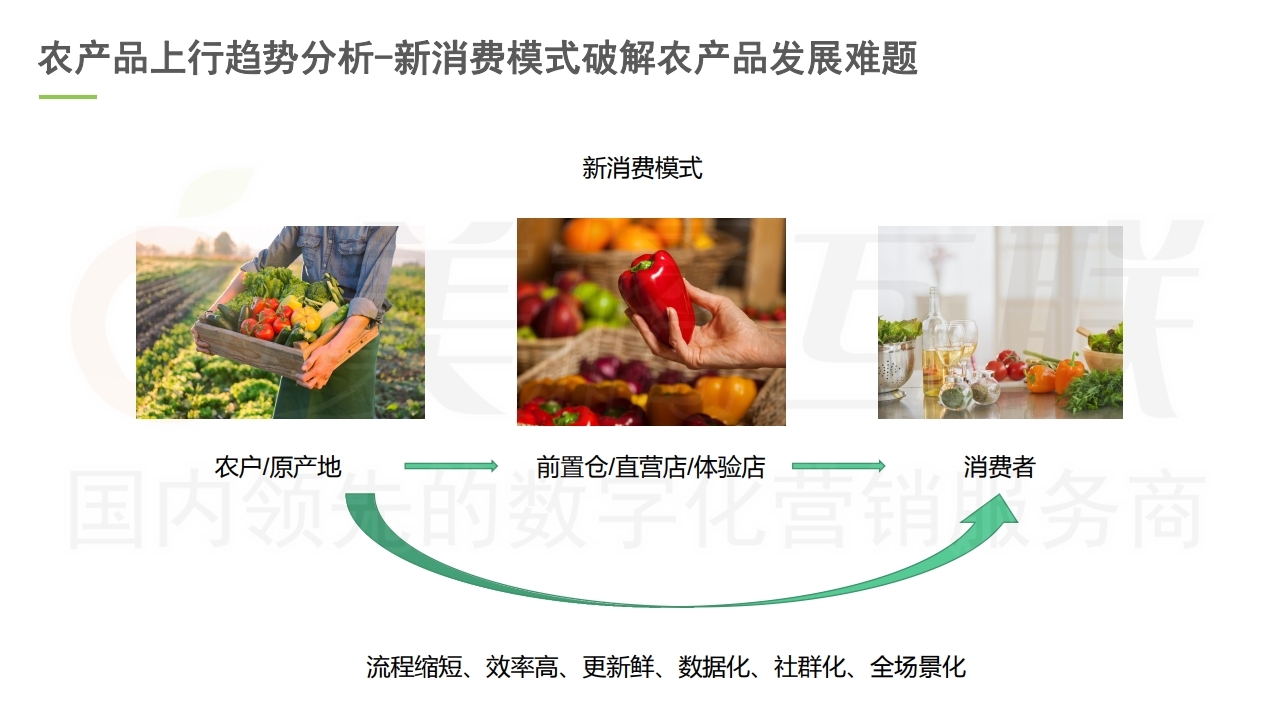 【唯商城】农产品网络电商营销方案.pdf_page_12.jpg