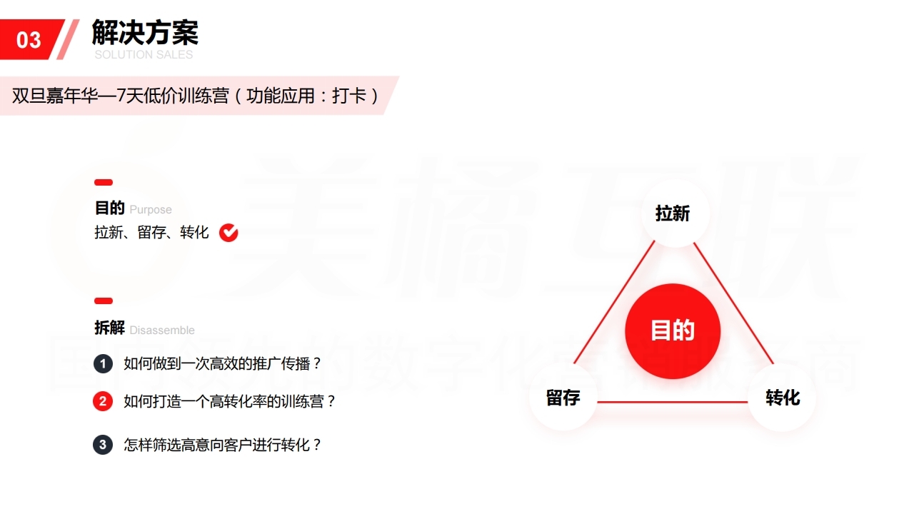 【数字营销云】双旦热点泛平台引流方案.pdf_page_08.jpg