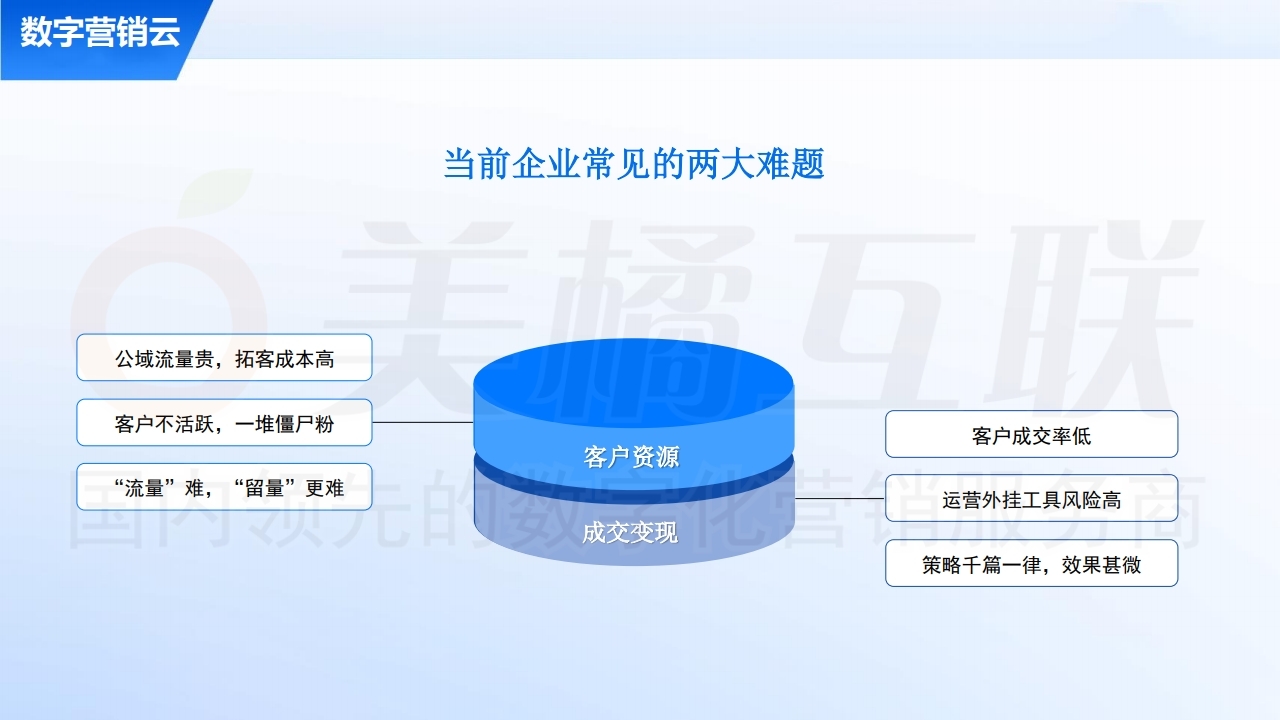 【数字营销云】私域流量运营及变现方案.pdf_page_04.jpg