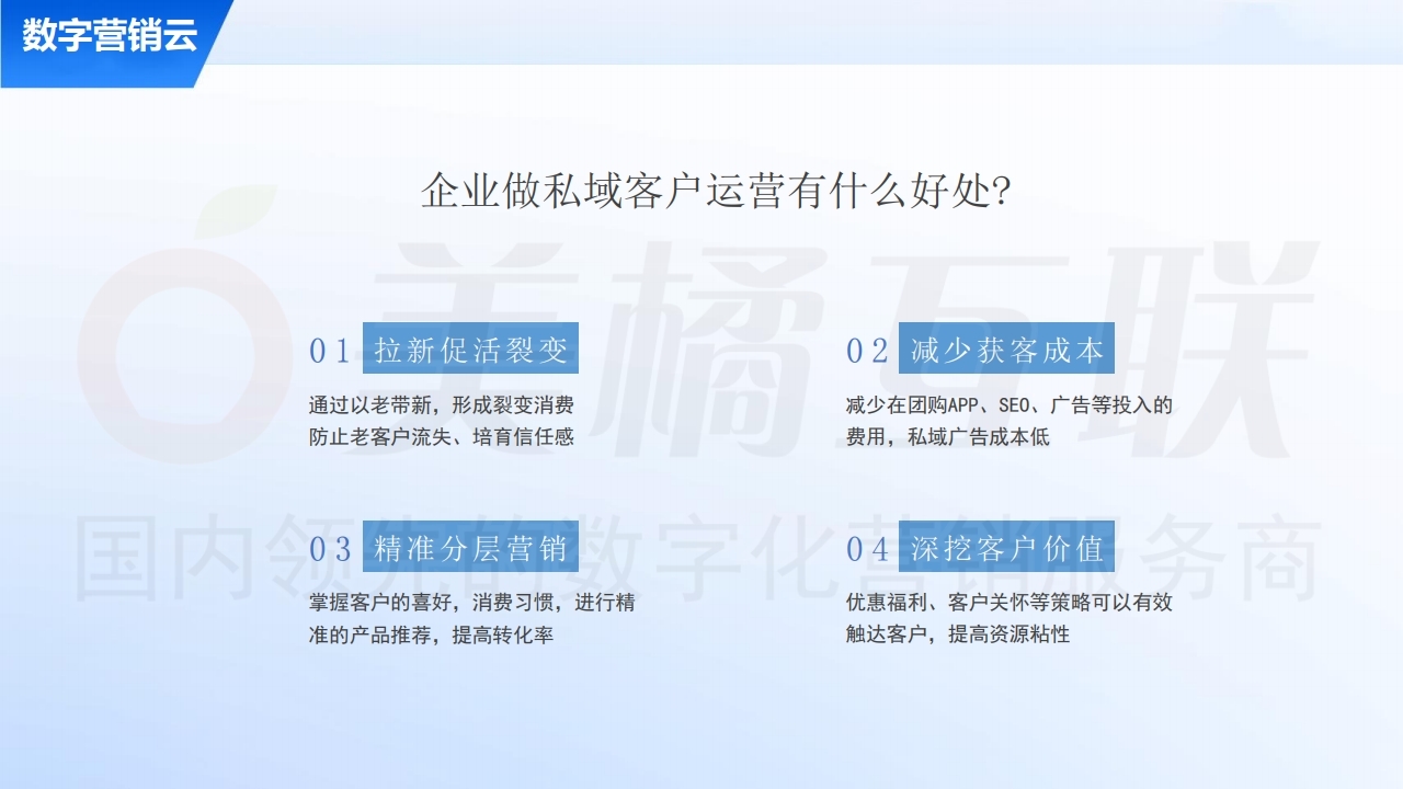 【数字营销云】私域流量运营及变现方案.pdf_page_05.jpg