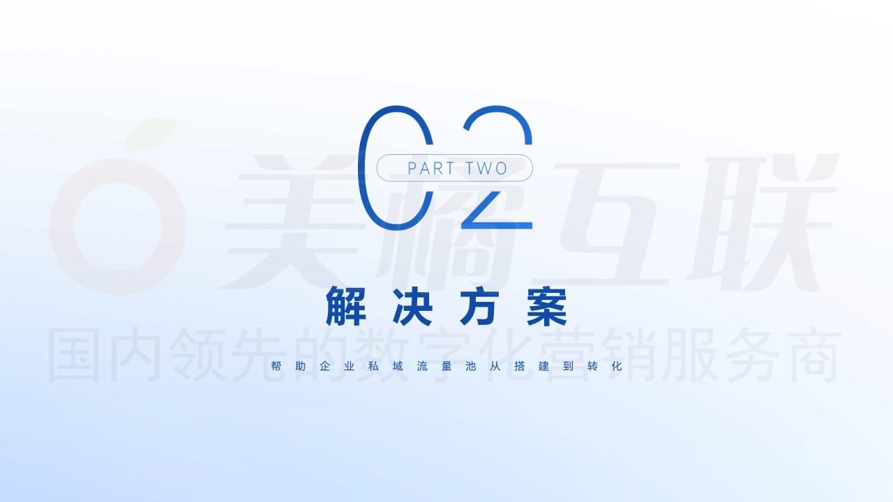 【数字营销云】私域流量运营及变现方案.pdf_page_08.jpg