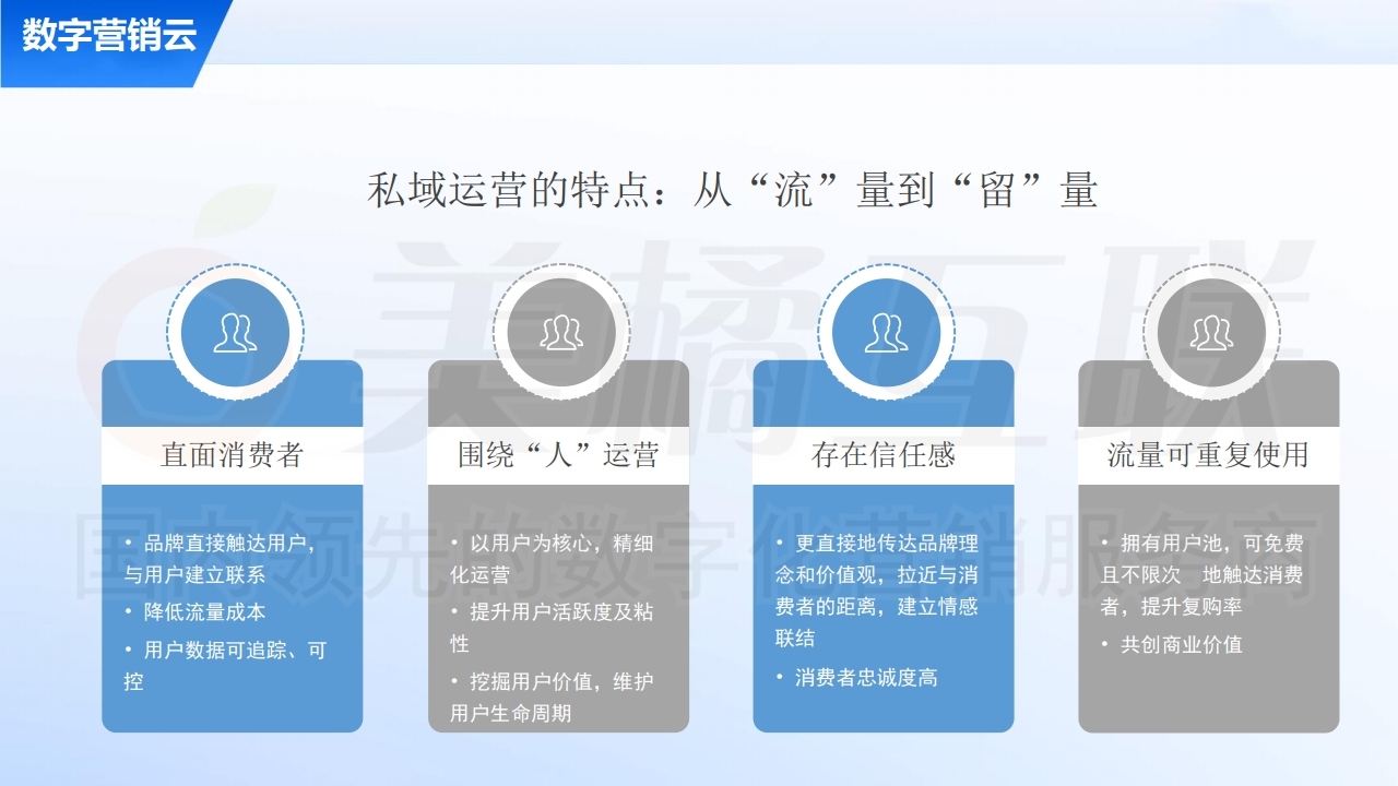 【数字营销云】私域流量运营及变现方案.pdf_page_06.jpg